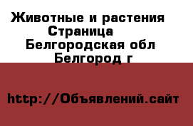  Животные и растения - Страница 10 . Белгородская обл.,Белгород г.